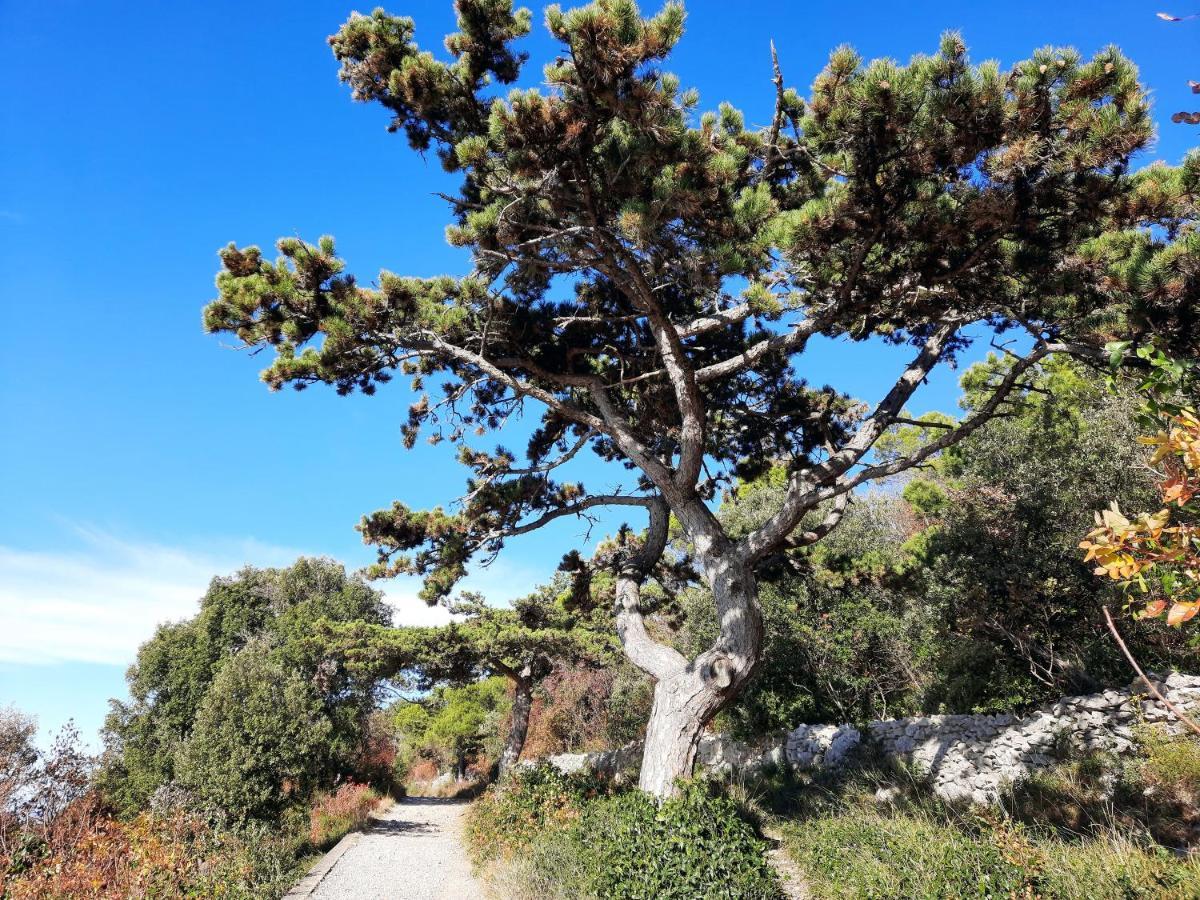 Agriturismo Ai Tre Sentieri Aurisina Luaran gambar